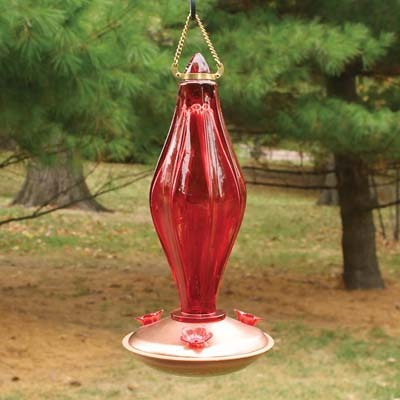 how to fix hummingbird feeder problems birdhousesupply com how to fix hummingbird feeder problems birdhousesupply com