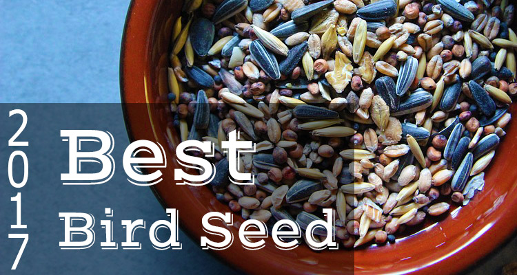 best bird seed 2017 cardinals finches jays best bird seed 2017 cardinals finches jays