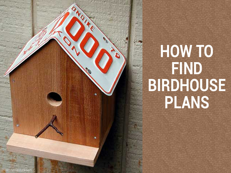 Where To Find Amazing Bird Feeder Plans, Bird House Feeder Plans