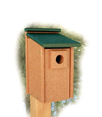Woodlink Going Green Bluebird House - Natural