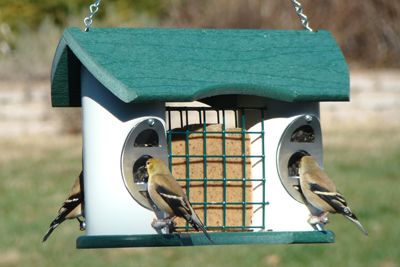 Woodlink Heavy Duty Suet and Seed Combination Feeder