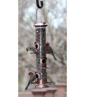 Woodlink Six Port Seed Feeder with Brushed Copper Accents