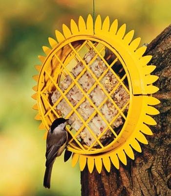 Woodlink Sunflower Suet Feeder Bird Feeder
