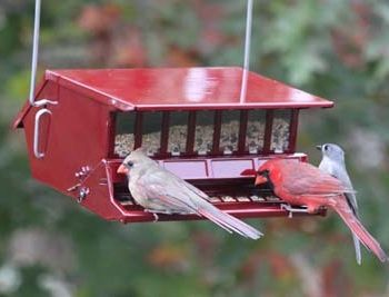 Woodlink Reflective Red Bird's Choice Bird Feeder