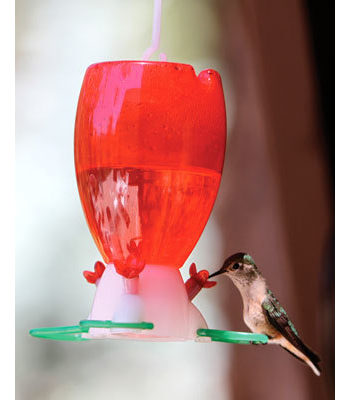 Woodlink Pre-Filled Hummingbird Feeder