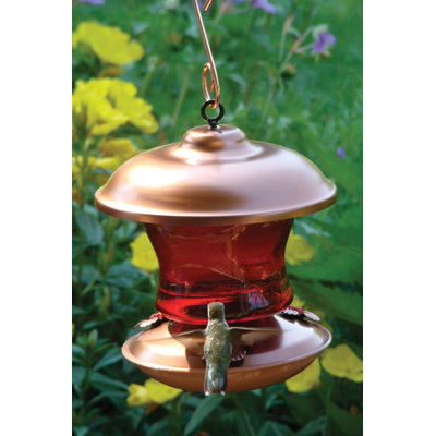 Woodlink Jewel Cut Hummingbird Feeder - Glass and Copper