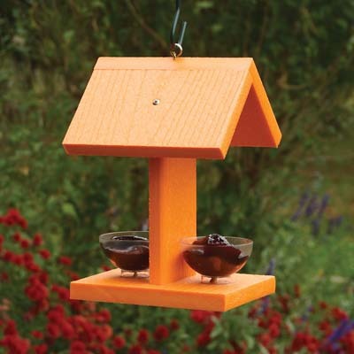 Woodlink Going Green Oriole Feeder With Jelly Jars