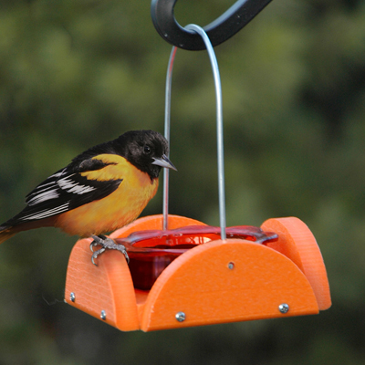 Recycled Plastic Woodlink Going Green Oriole Feeder
