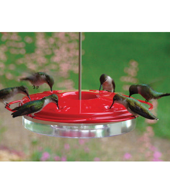 Woodlink Plastic Hummingbird Feeder - 12 oz