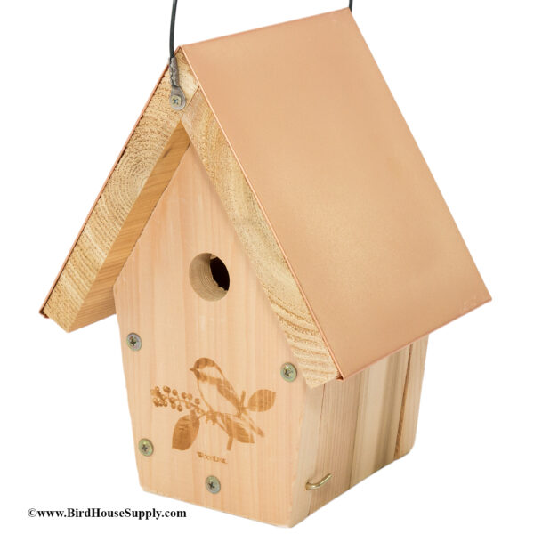 Woodlink Coppertop Chickadee and House