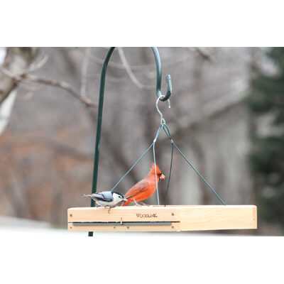 Woodlink Hang, Pole Mount or Ground Platform Bird Feeder