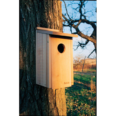 Woodlink Screech Owl/Kestrel Box