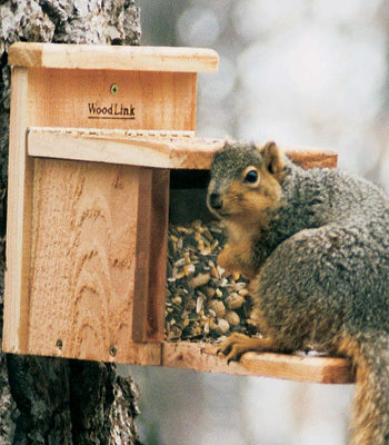 Woodlink Squirrel Cedar Squirrel Feeder