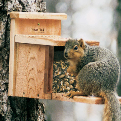 Cedar Squirrel feeder 
