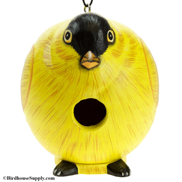 Songbird Essentials Goldfinch Gord-O Birdhouse