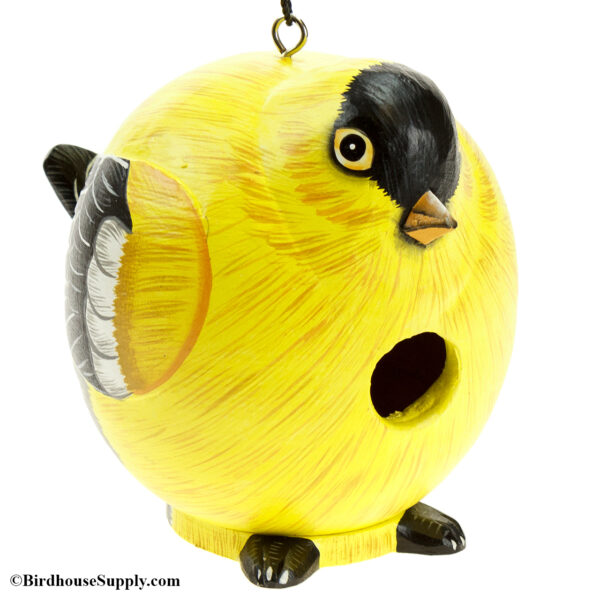 Songbird Essentials Goldfinch Gord-O Birdhouse