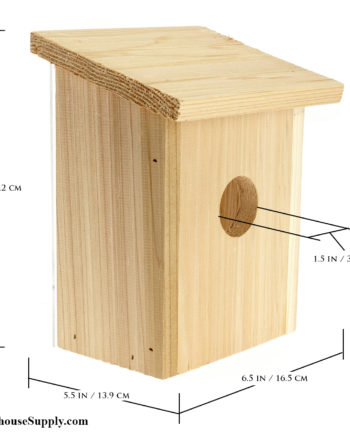 Songbird Essentials Nest View Birdhouse