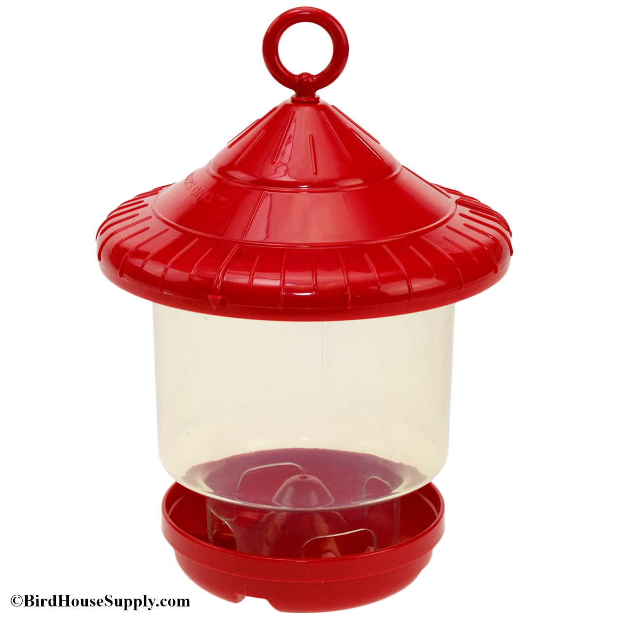 Songbird Essentials Clingers Only Bird Feeder