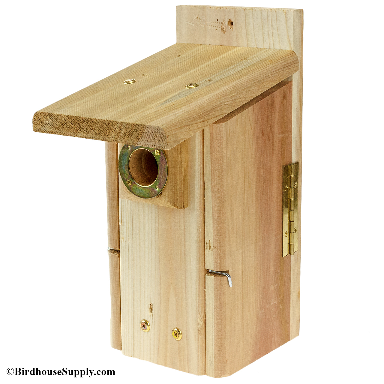 Songbird Essentials Ultimate Western Bluebird House