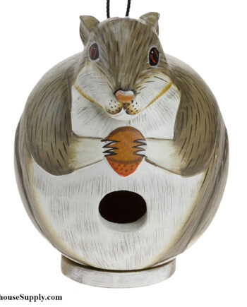 Songbird Essentials Squirrel Gord-O Birdhouse