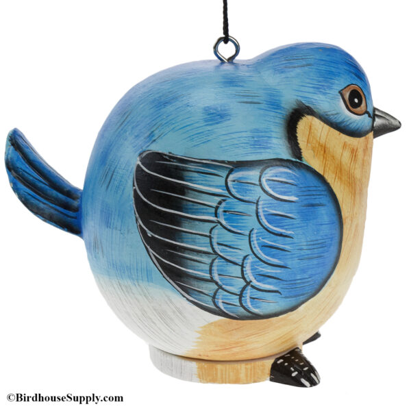 Songbird Essentials Bluebird Gord-O Birdhouse