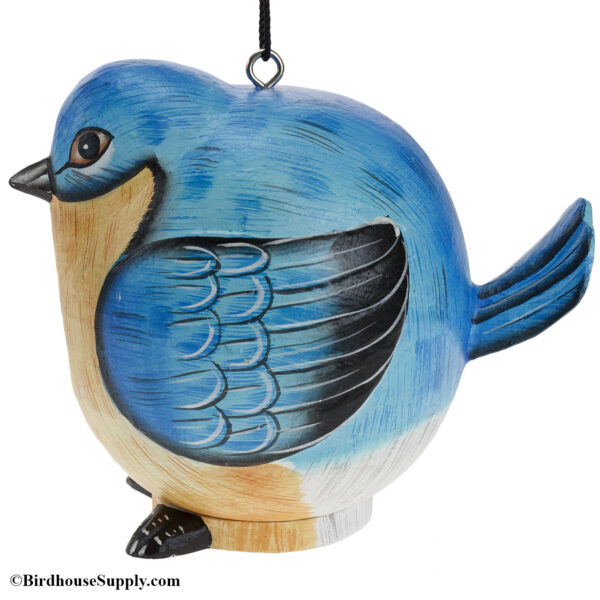 Songbird Essentials Bluebird Gord-O Birdhouse