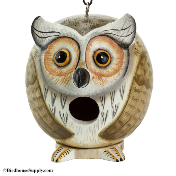 Songbird Essentials Owl Gord-O Birdhouse