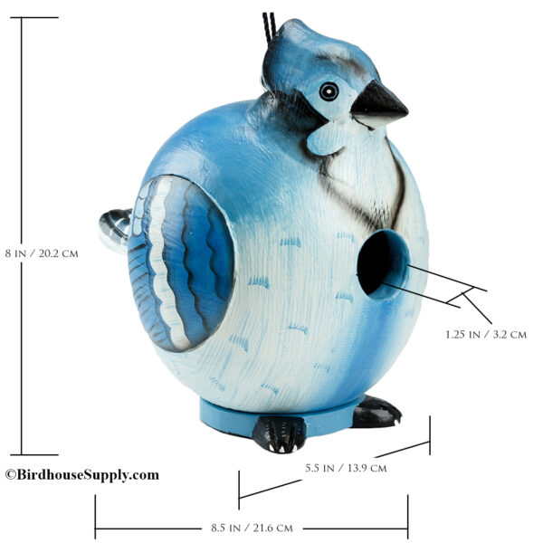 Songbird Essentials Blue Jay Gord-O Birdhouse