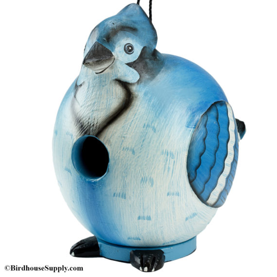 Songbird Essentials Blue Jay Gord-O Birdhouse