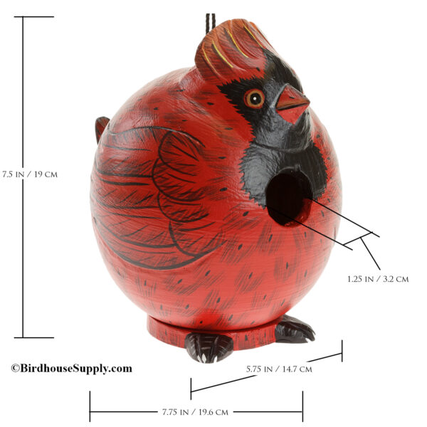 Songbird Essentials Cardinal Gord-O Birdhouse