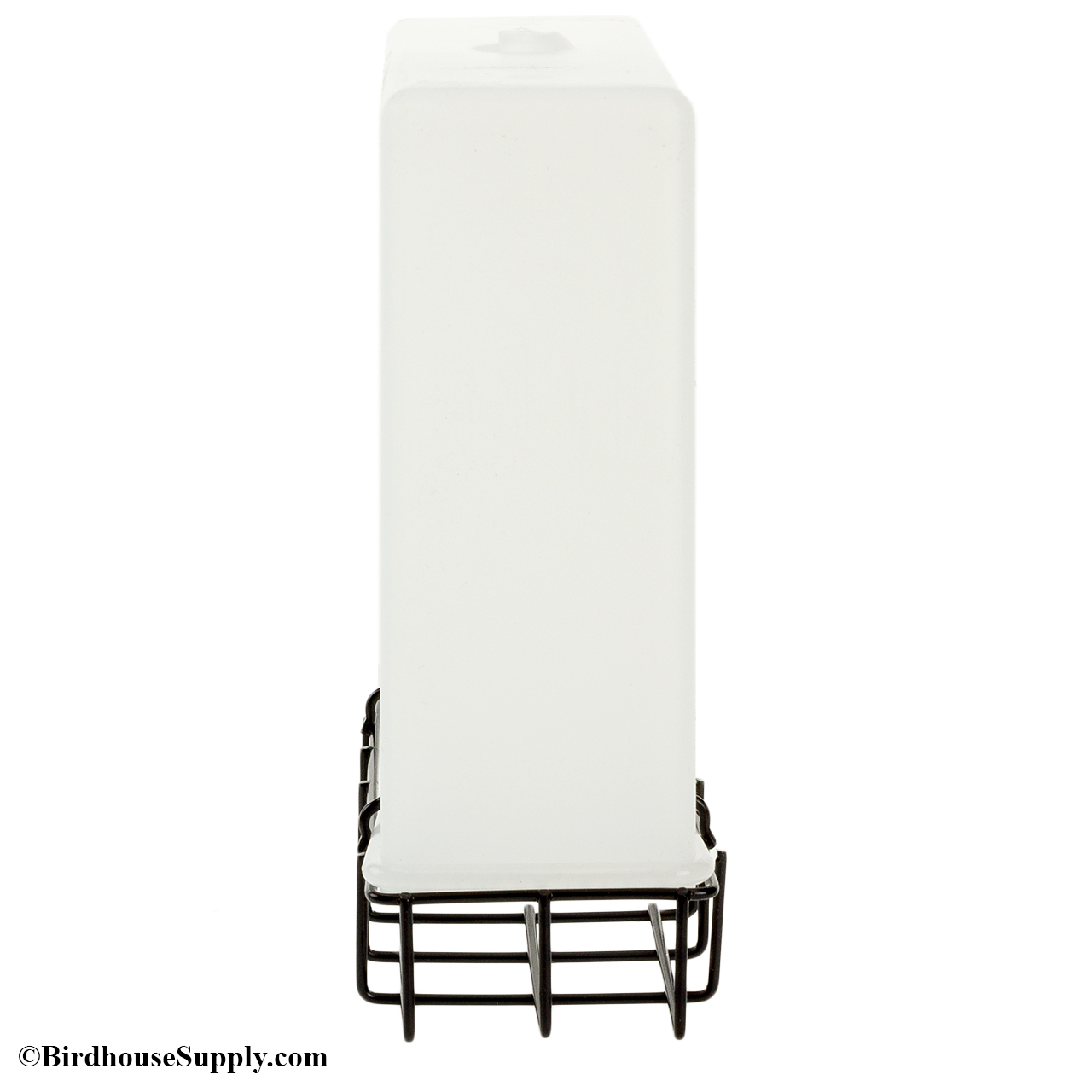 Songbird Essentials Suet Saver Feeder at