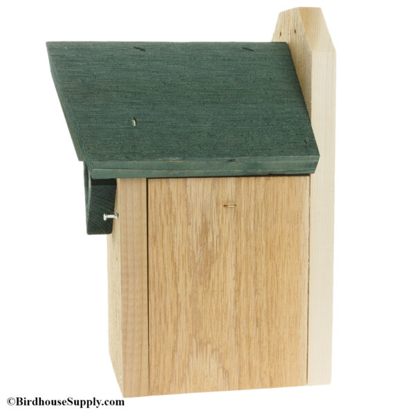 Songbird Essentials Bluebird House - Green Roof