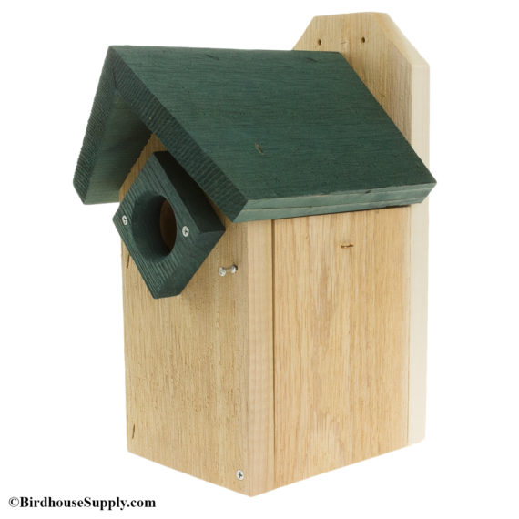Songbird Essentials Bluebird House - Green Roof