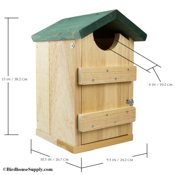 Songbird Essentials Screech Owl House