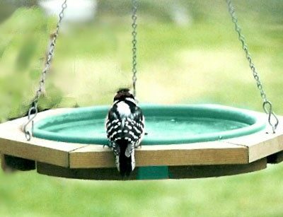 Songbird Essentials Mini Hanging Bird Bath - 14 inch