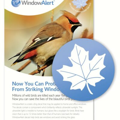 Window Alert Maple Leaf Window Decals - 4 Pack