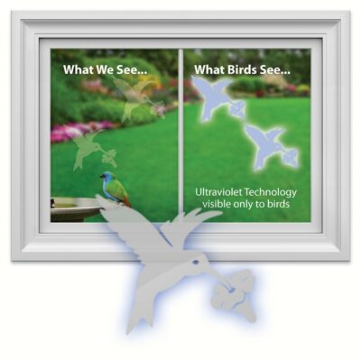 Window Alert Hummingbird Window Decals - 4 Pack