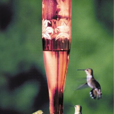 Schrodt Designs Paradise Ruby Hummingbird Lantern