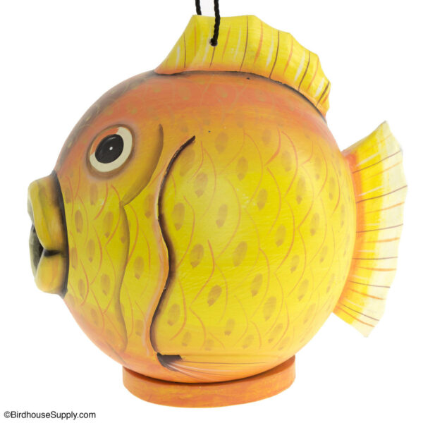 Songbird Essentials Goldfish Gord-O Birdhouse