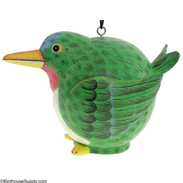 Songbird Essentials Hummingbird Gord-O Birdhouse