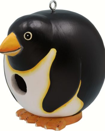 Songbird Essentials Penguin Gord-O Birdhouse