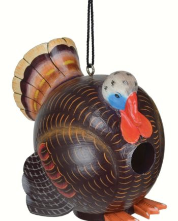 Songbird Essentials Wild Turkey Gord-O Birdhouse