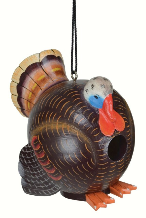 Songbird Essentials Wild Turkey Gord-O Birdhouse