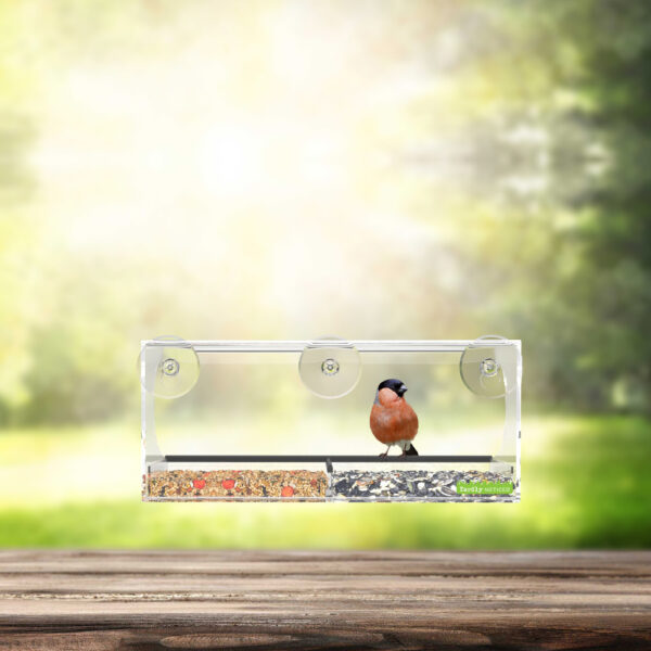 Yardly Noticed Clear Window Bird Feeder with Suction Cups and Removable Tray
