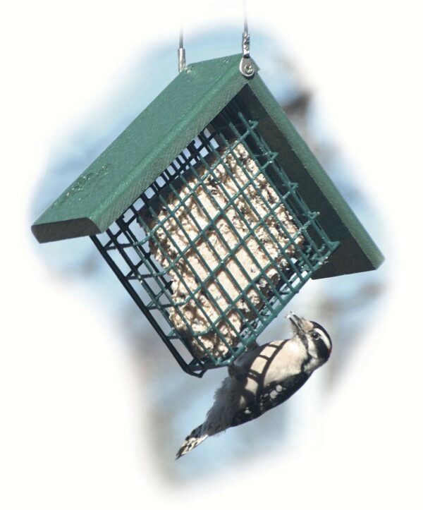 Woodlink Going Green Suet Cage