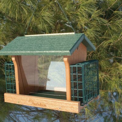 Woodlink Going Green Recycled Plastic Ranch Seed and Suet Feeder