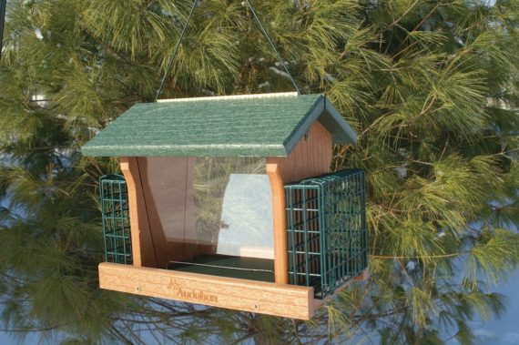 Woodlink Going Green Recycled Plastic Ranch Seed and Suet Feeder