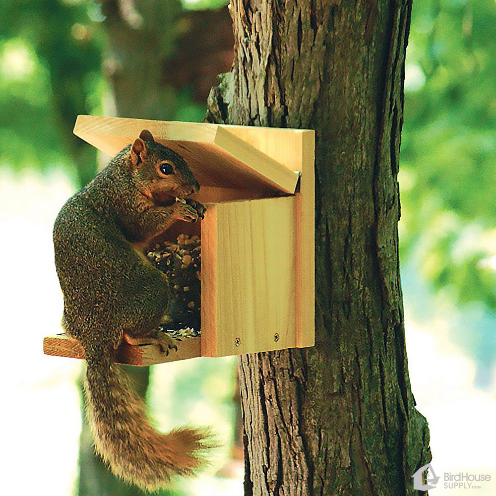 Woodlink NASQBOX Audubon Squirrel Munch Box Feeder 