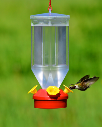 Perky Pet Garden Song Lantern Hummingbird Feeder