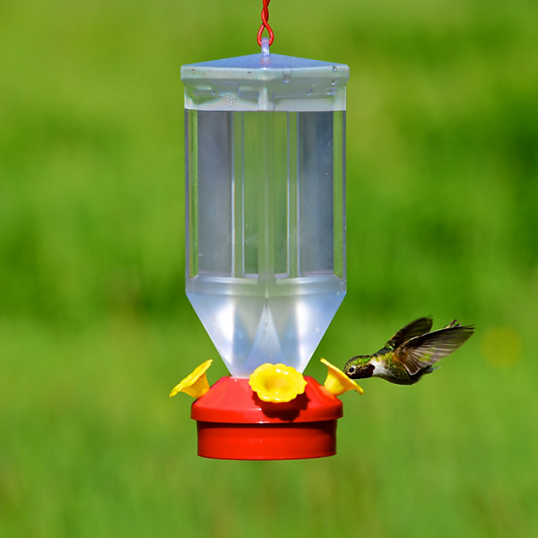 Perky Pet Garden Song Lantern Hummingbird Feeder